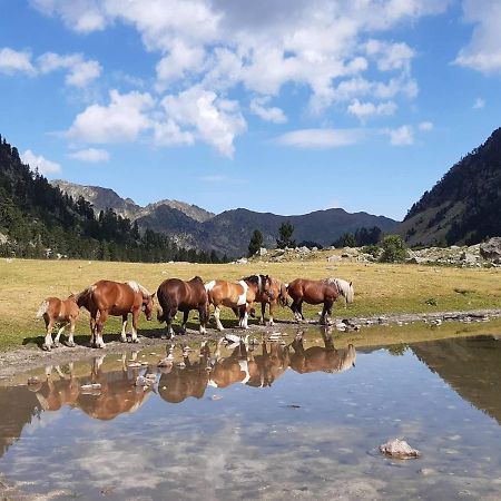 Studio Proche Centre Pour 2/4 Personnes, Cuisine Equipee, Pres Thermes Et Telecabines - Fr-1-234-281 Cauterets Exteriör bild