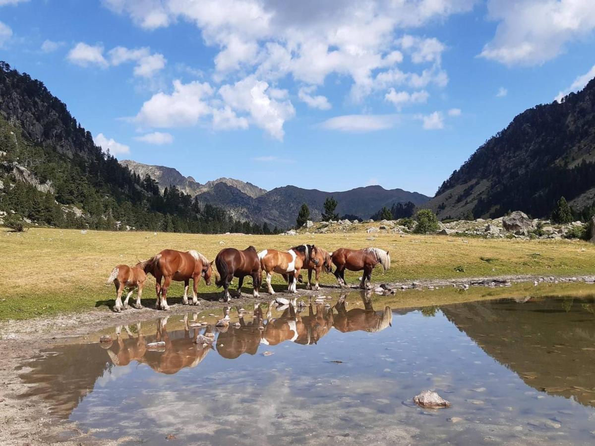 Studio Proche Centre Pour 2/4 Personnes, Cuisine Equipee, Pres Thermes Et Telecabines - Fr-1-234-281 Cauterets Exteriör bild